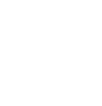 nylogo3